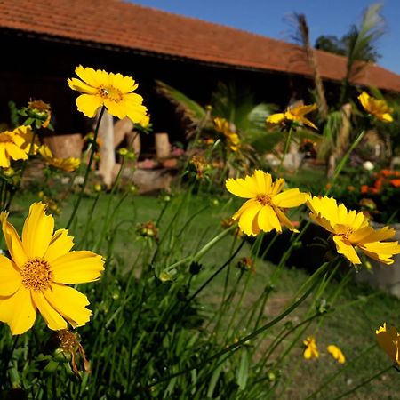 Parque Paraíso das Flores Holambra Exterior foto