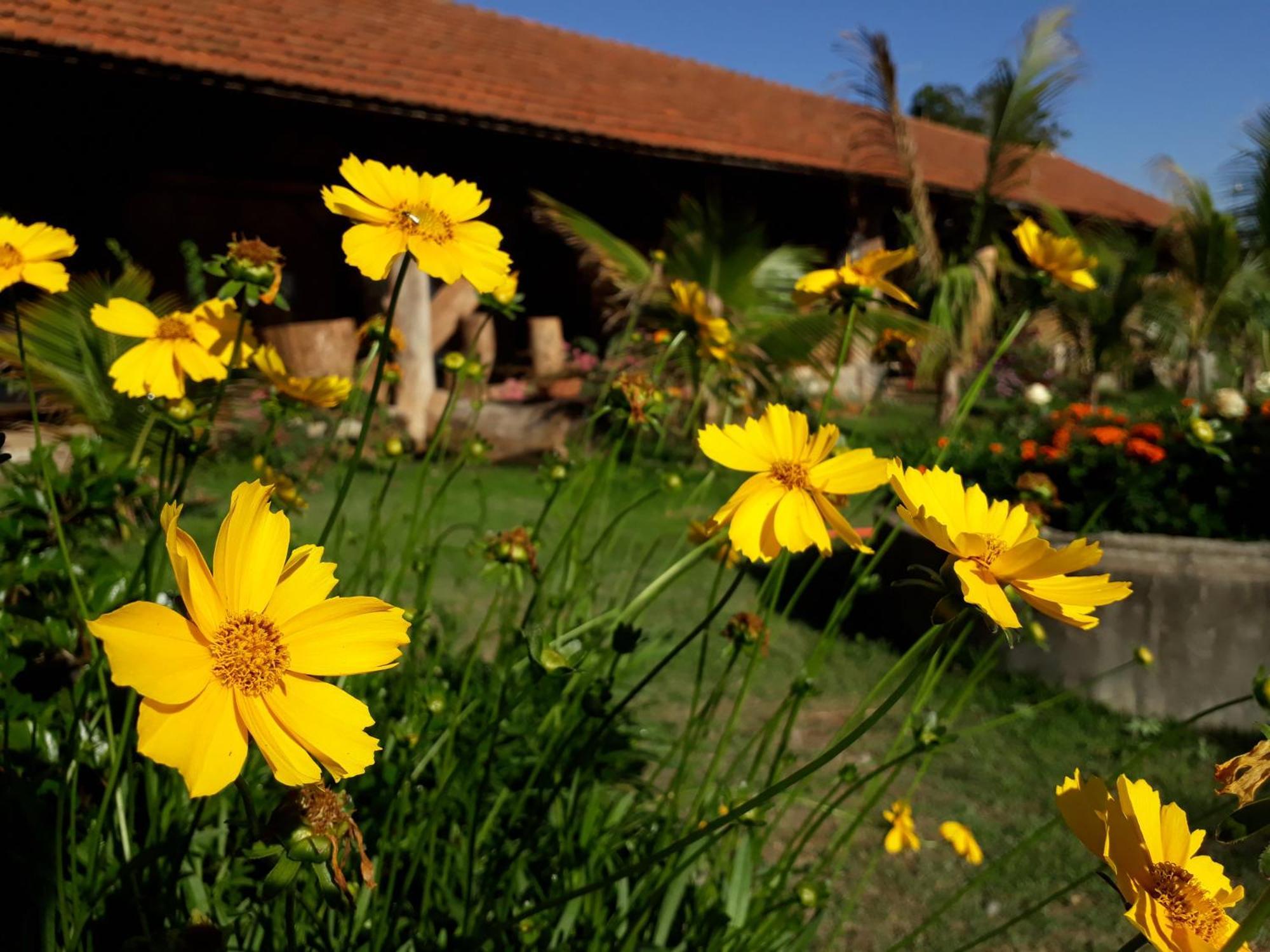 Parque Paraíso das Flores Holambra Exterior foto