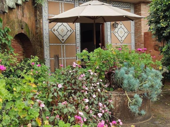 Parque Paraíso das Flores Holambra Exterior foto